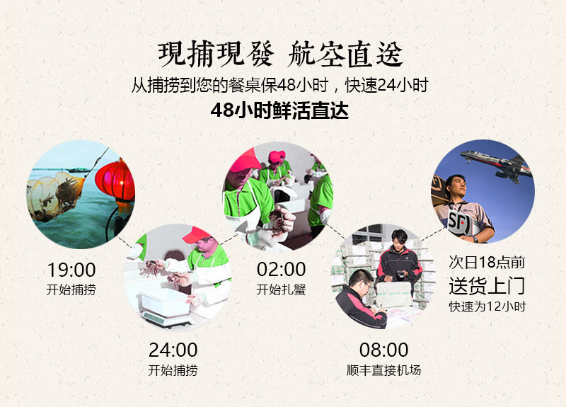 澄沁大閘蟹-現捕現發貨